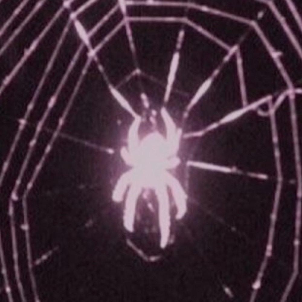 Meet your Posher, Santy